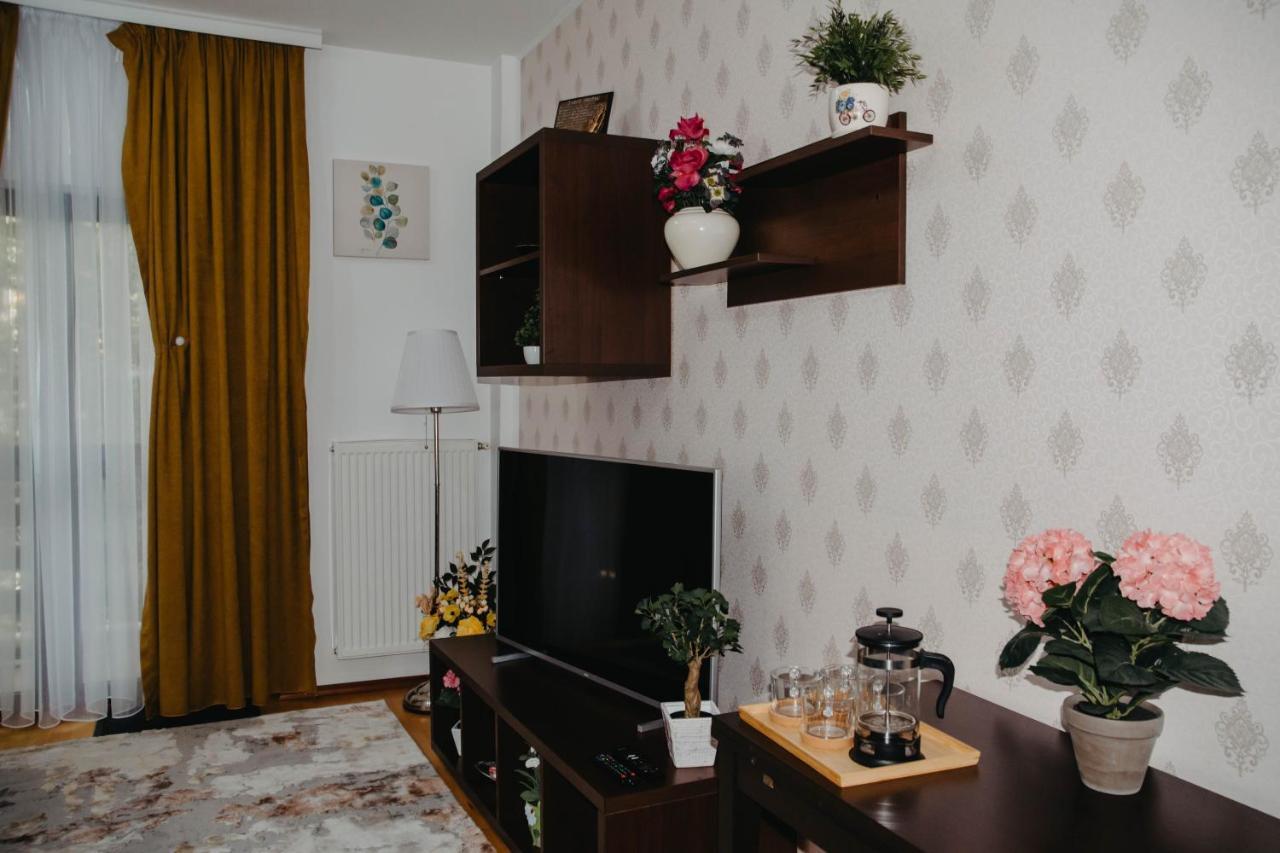 Hugo Mountain Apartment Sinaia Exterior photo